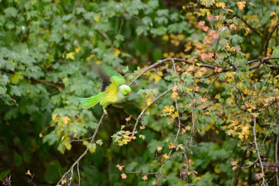 DSC_0493 (Large).JPG